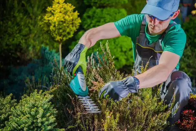 landscaping services Barnstable